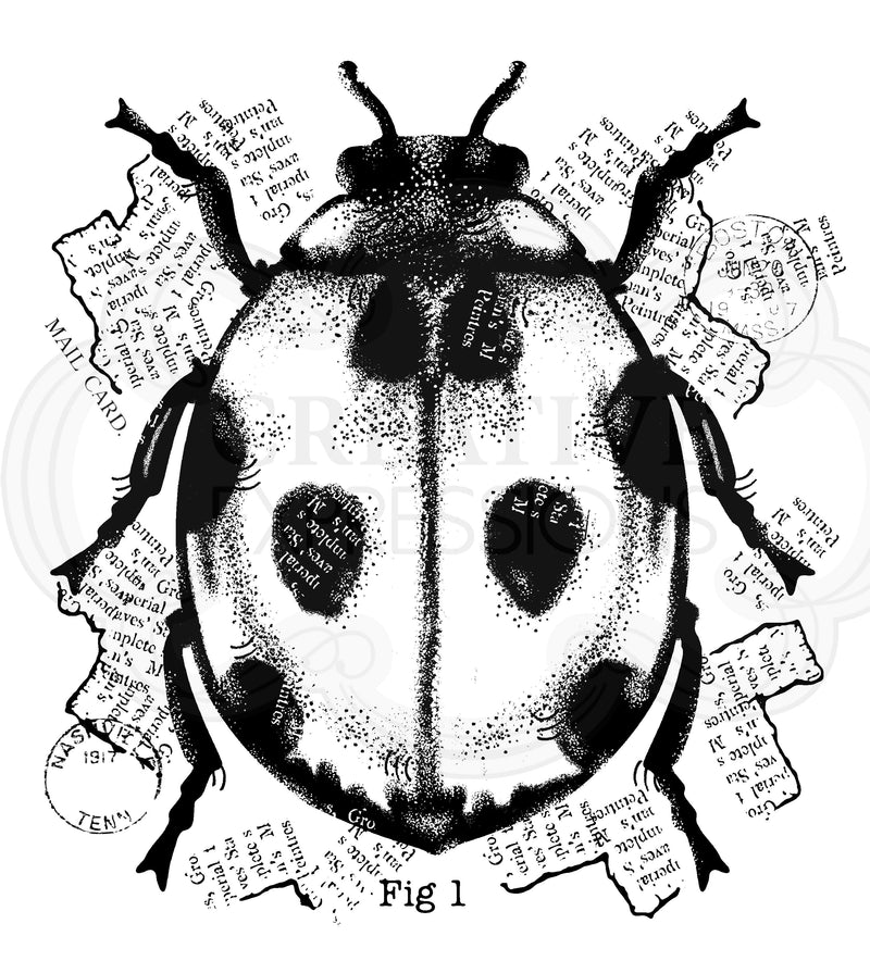 Woodware Clear Singles Ladybird 4 in x 4 in Stamp-1