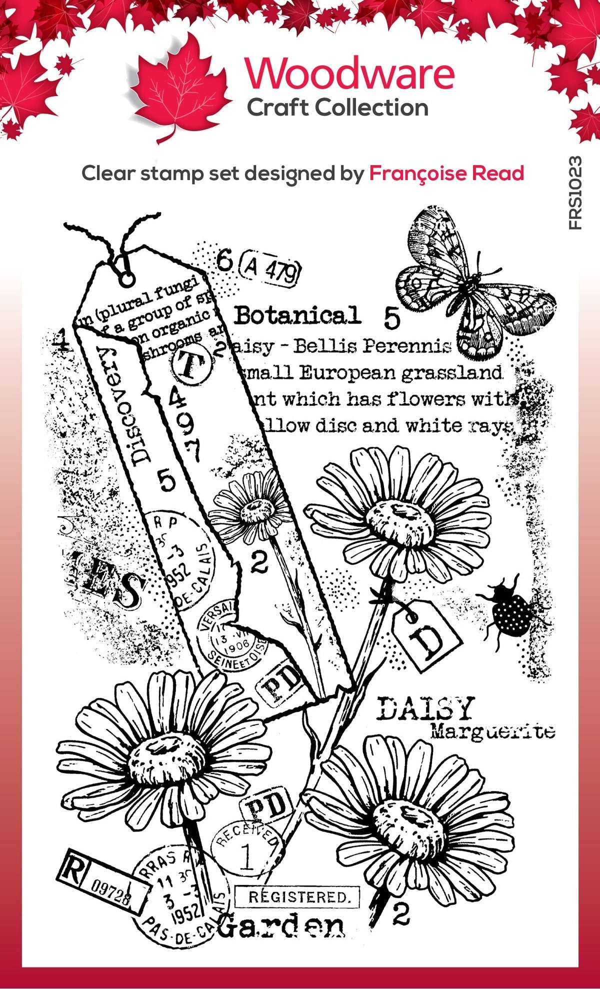 Tampon en bois transparent Garden Daisies 4 po x 6 po-1