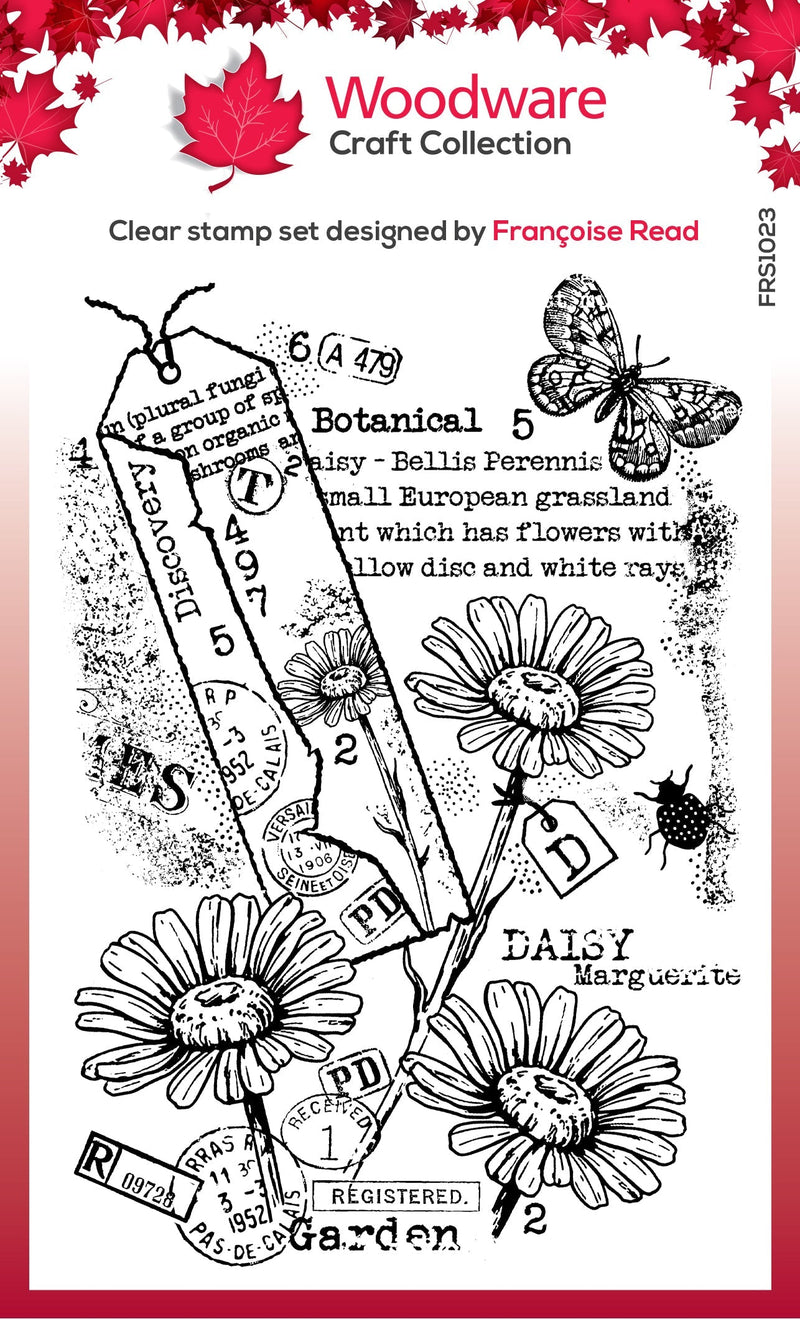 Tampon en bois transparent Garden Daisies 4 po x 6 po-1