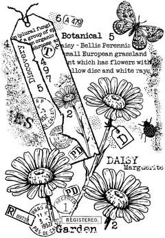 Tampon en bois transparent Garden Daisies 4 po x 6 po-2