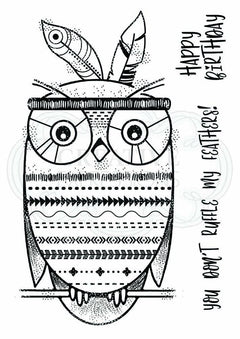 Woodware Clear Singles Bo-Hoot! 4 in x 6 in Stamp-1