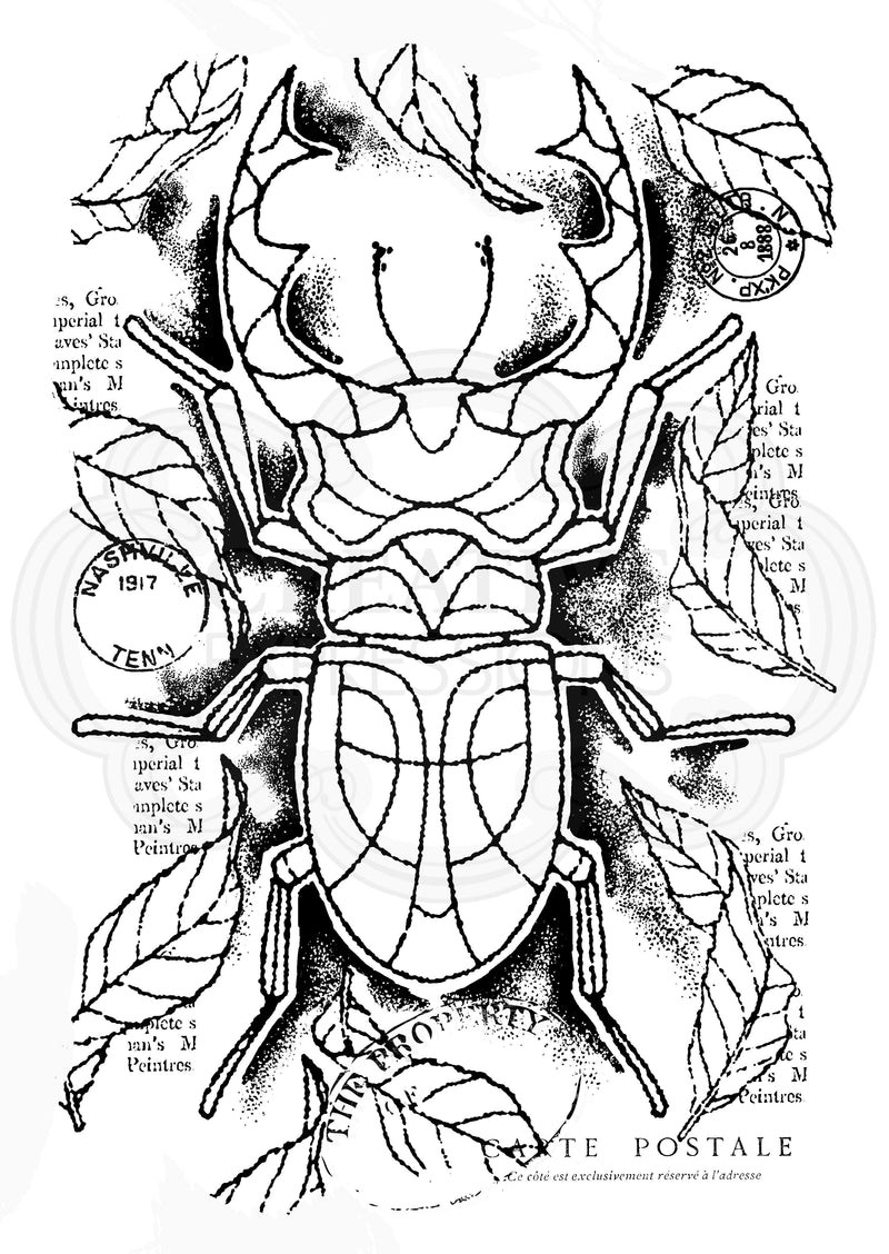 Woodware Clear Singles Stag Beetle 4 in x 6 in Stamp-1