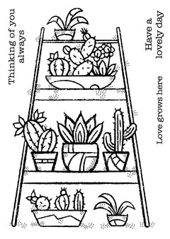 Woodware Clear Singles Indoor Garden 4 in x 6 in Stamp-5