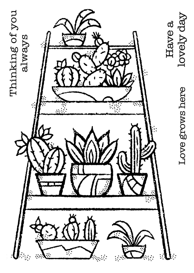 Woodware Clear Singles Indoor Garden 4 in x 6 in Stamp-5