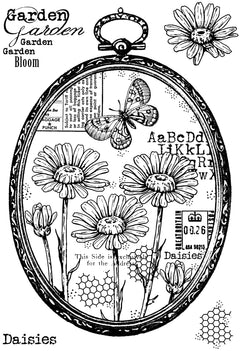 Woodware Clear Singles Daisy Frame 4 in x 6 in Stamp-6