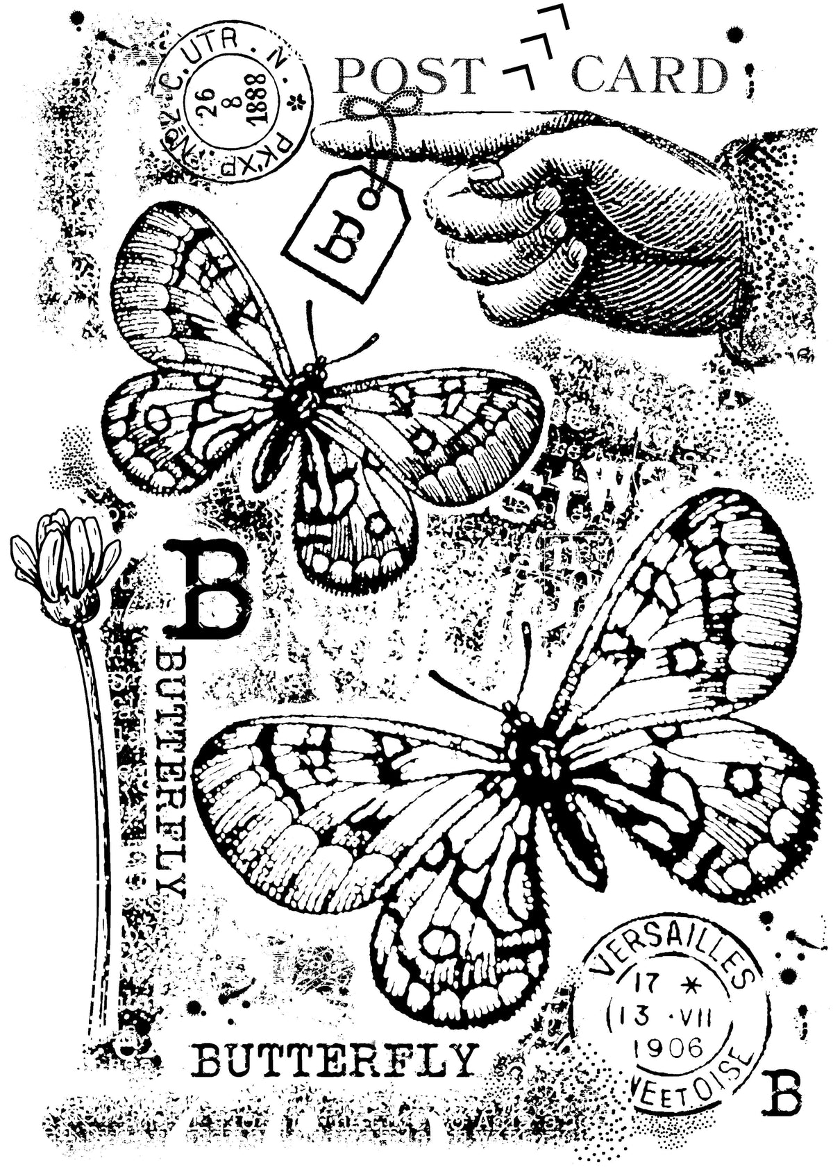 Woodware Clear Singles B is For Butterfly 4 in x 6 in Stamp-2
