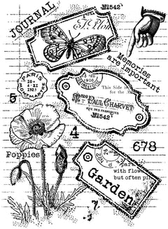 Woodware Clear Singles Label Page 4 in x 6 in Stamp-2