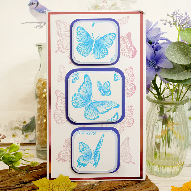 Por el amor a los sellos - Hermosas mariposas-7