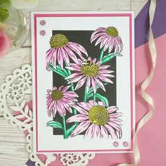 For the Love of Stamps - Coneflower Delights-4