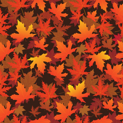 Colorful Fall Leaves Prints Adhesive Vinyl-1