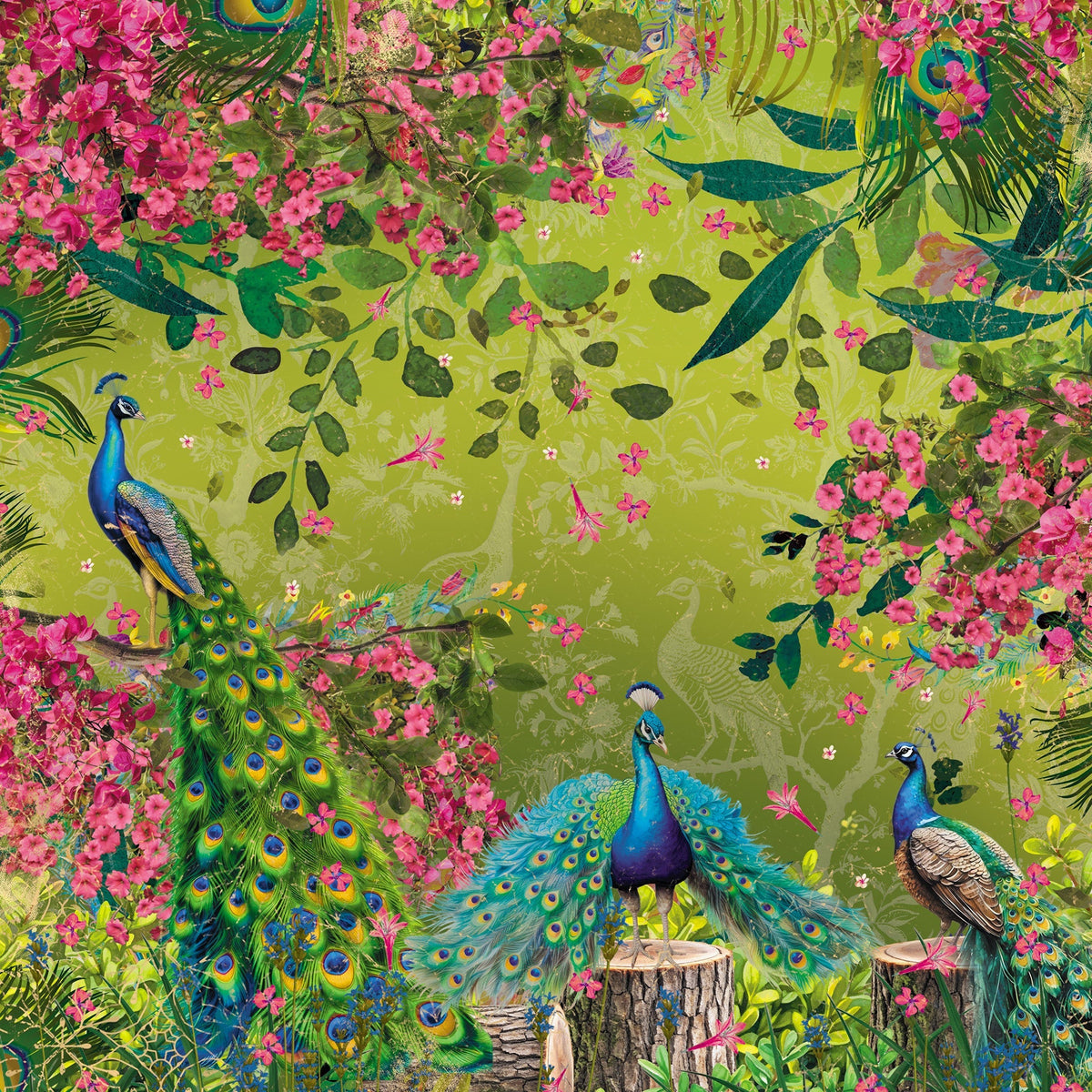 Graceful Plumes Paper Pad 6”x6”-24