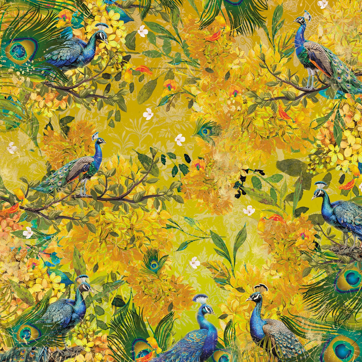 Graceful Plumes Paper Pad 6”x6”-17