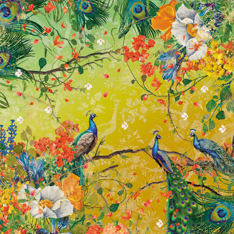 Graceful Plumes Paper Pad 6”x6”-20