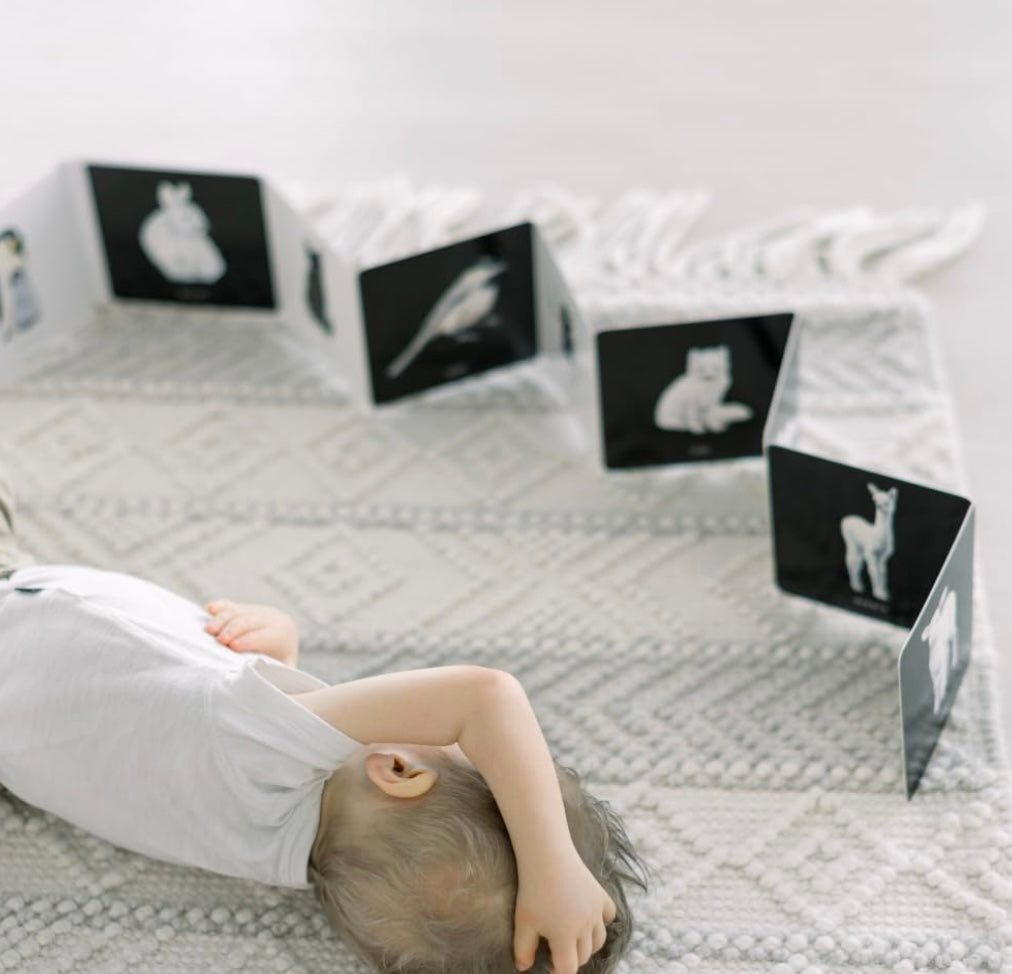 Baby's Black and White Contrast Book | Books-2