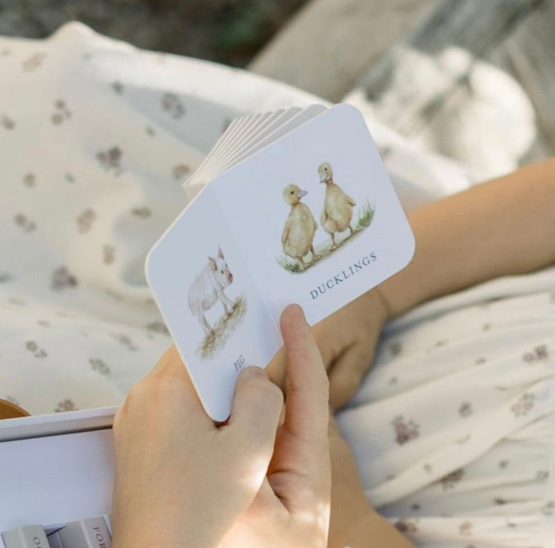 Our Very Little Library Board Book Set | Books-4