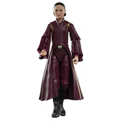 Star Wars The Black Series Padmé Amidala-16