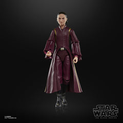 Star Wars The Black Series Padmé Amidala-3