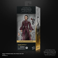 Star Wars The Black Series Padmé Amidala-2