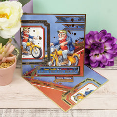 Let the Fun Begin Luxury Topper Set-6