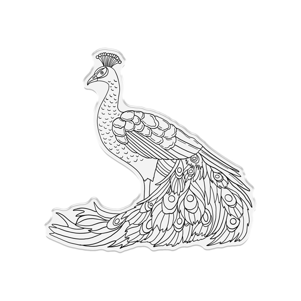 Graceful Plumes Stamp & Die - Proud Peacock -3