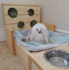 Four Hole Hay Feeder and Litter Box-3