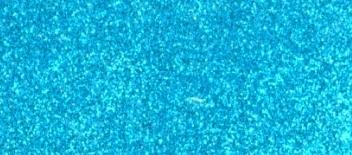 Glitter Ritz Micro Fine Glitter-76