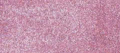 Glitter Ritz Micro Fine Glitter-58