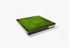 Optional Reusable Tray-2
