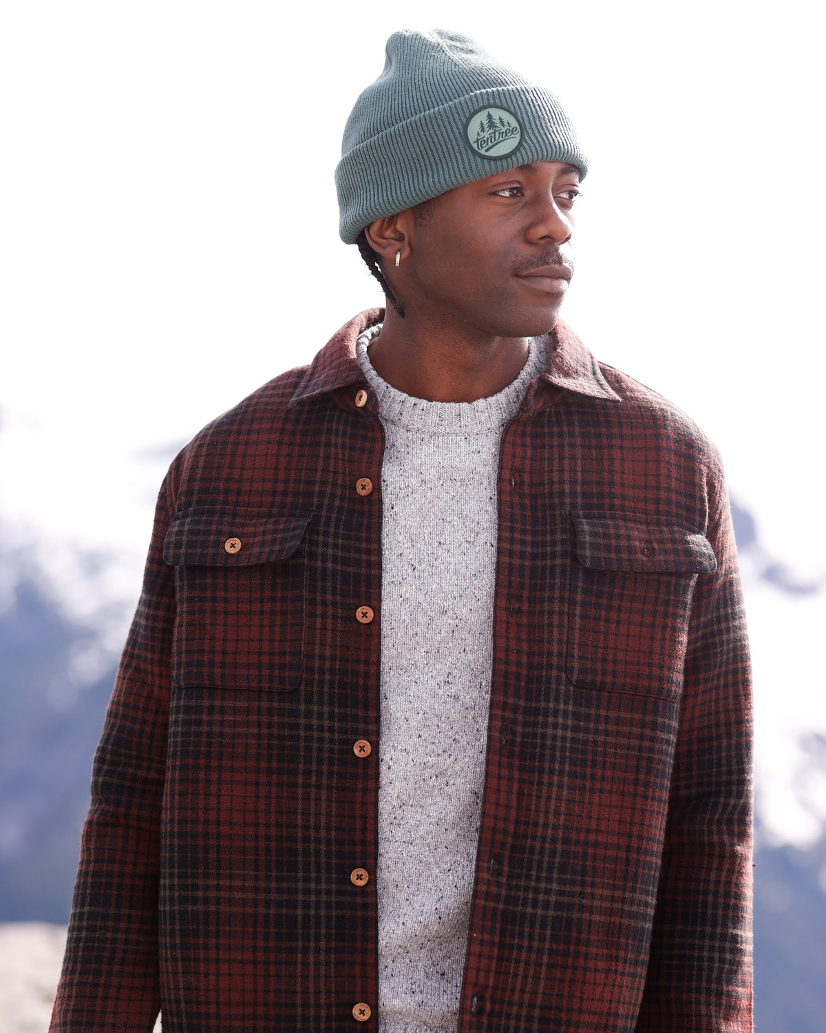 Tentree Trees Alden Beanie-4