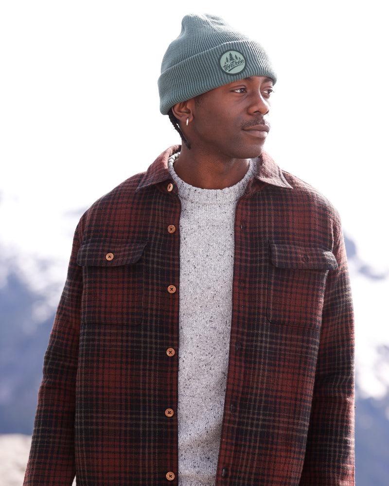 Tentree Trees Alden Beanie-4