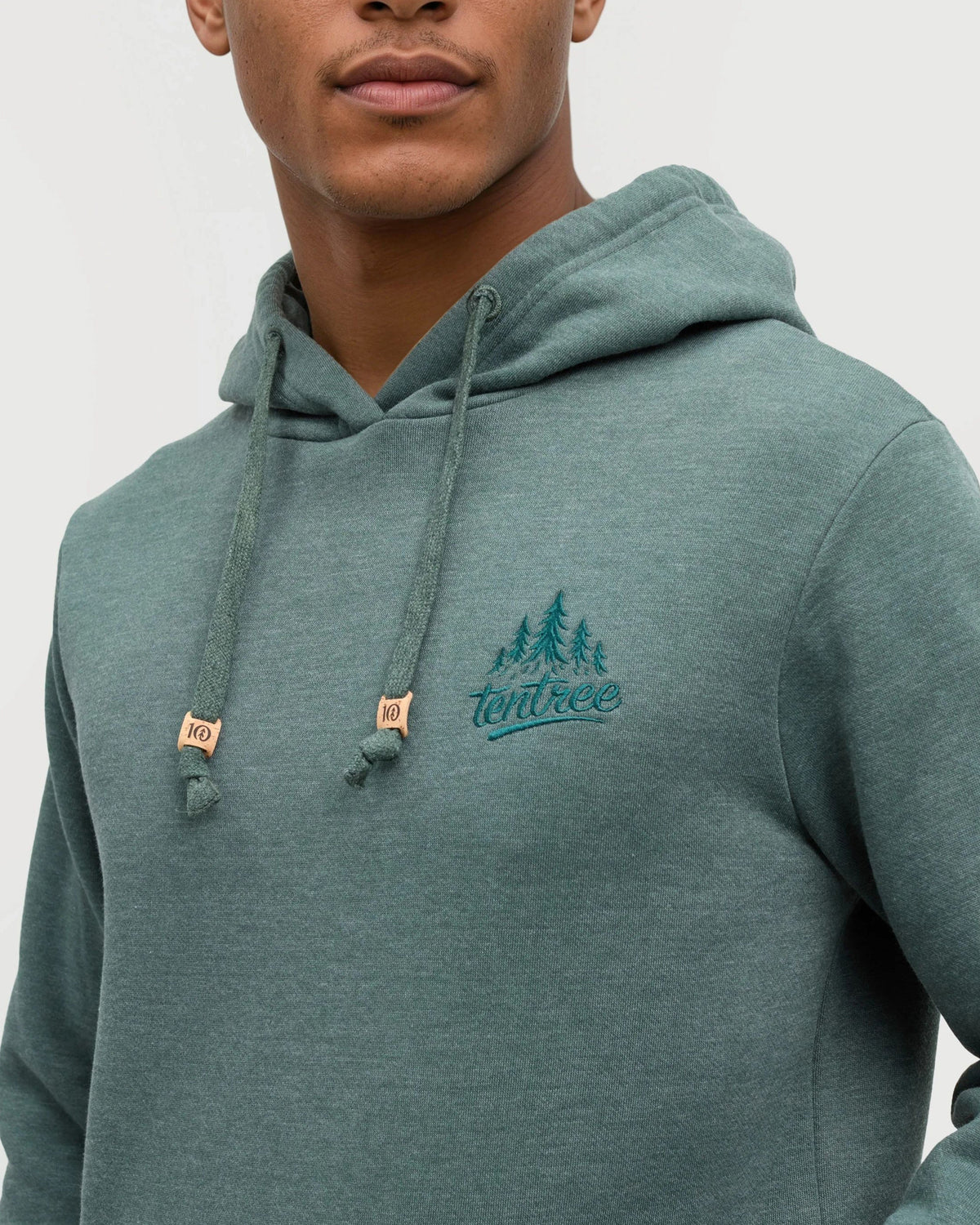 Tentree Tree Hoodie-4