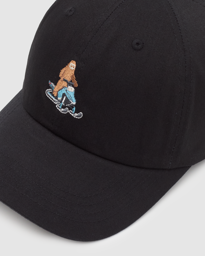 Sasquatch Peak Hat-2