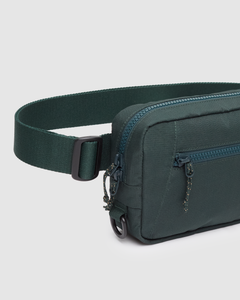 Valdes Hip Pack-4