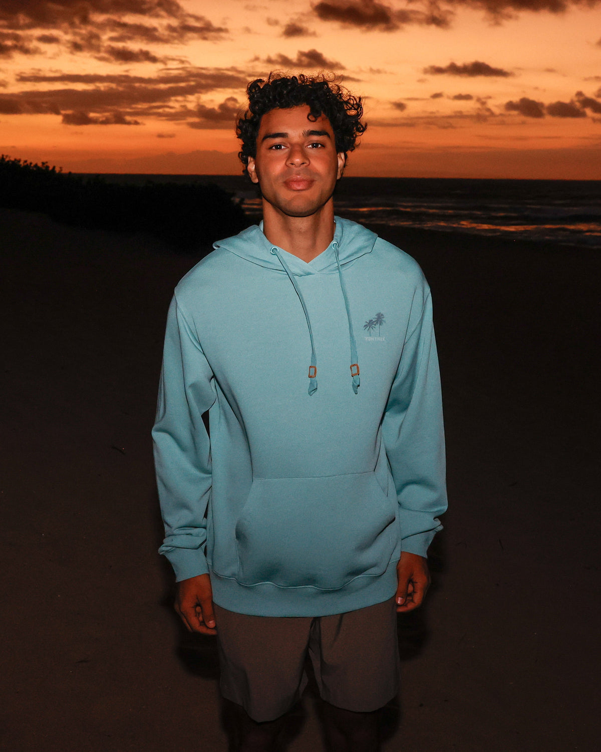 Haiti Palm Logo Relaxed Hoodie-2