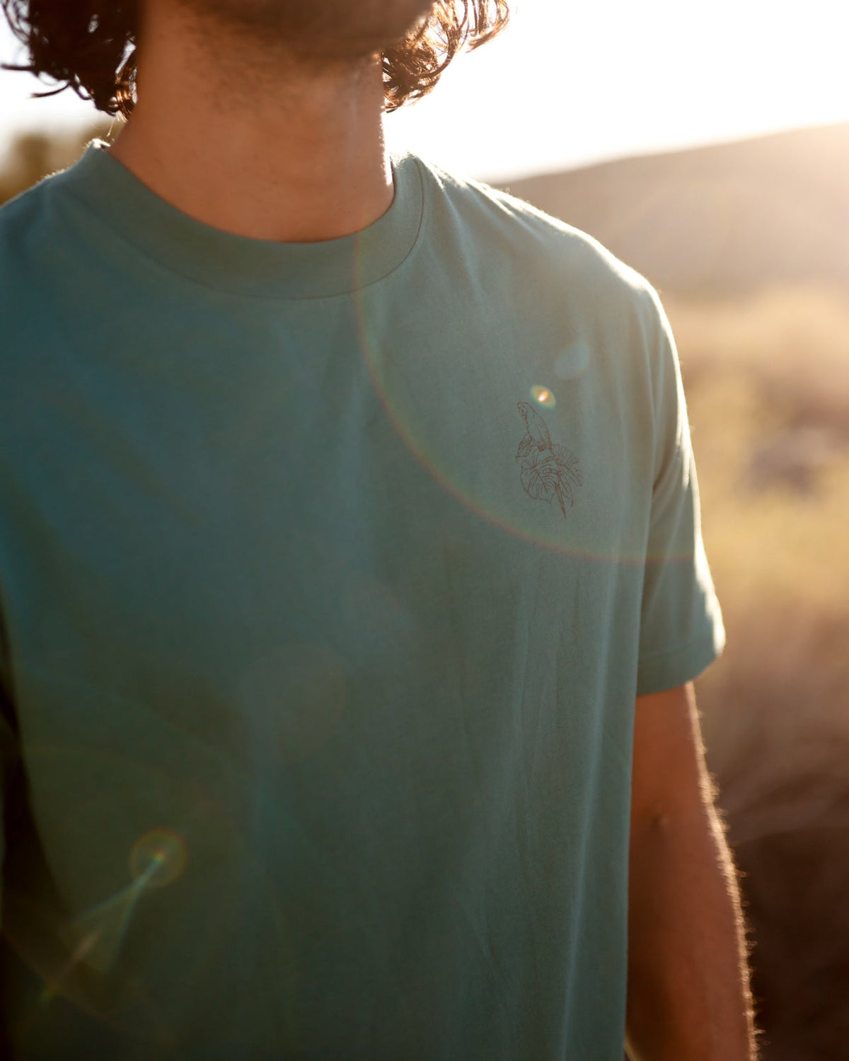 Regenerative Amazon Verdure Relaxed T-Shirt-6