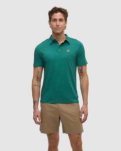 Astir Polo-1