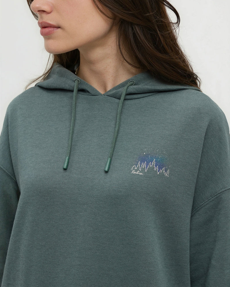 Parks Landscape Oversized Hoodie-3
