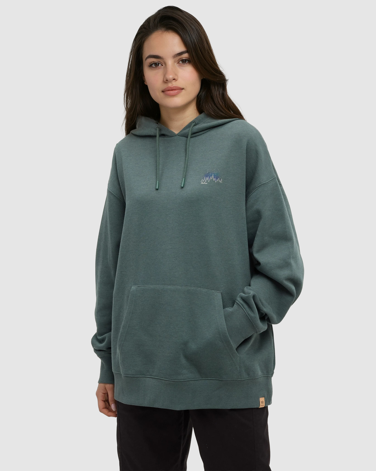 Parks Landscape Oversized Hoodie-2