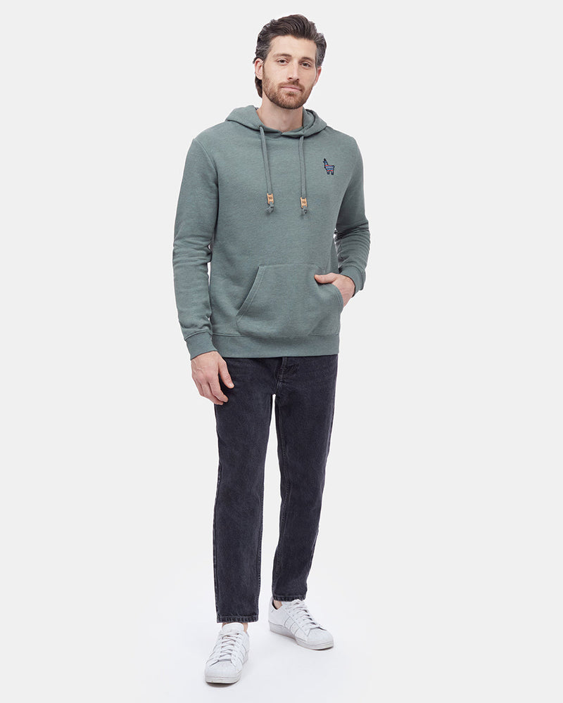 Peru Embroidered Llama Hoodie-2
