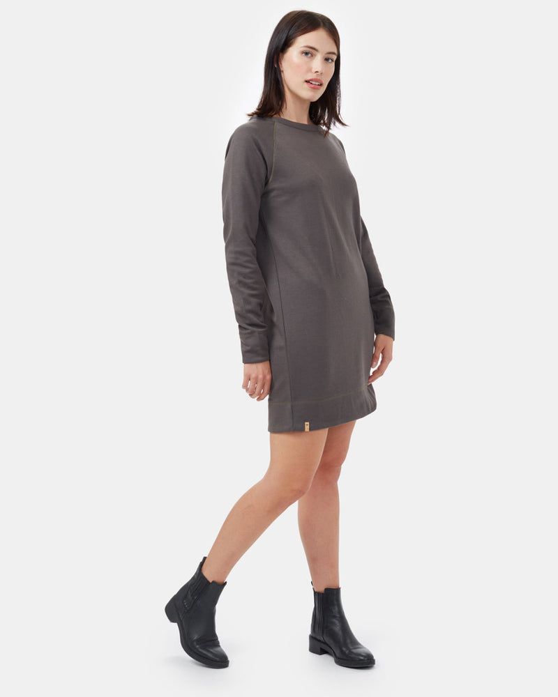 Ponte Raglan Dress-1