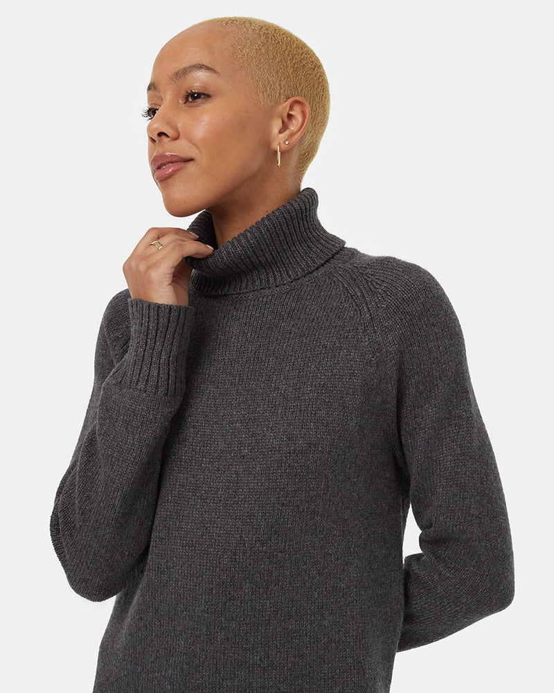 Highline Turtleneck Dress-4