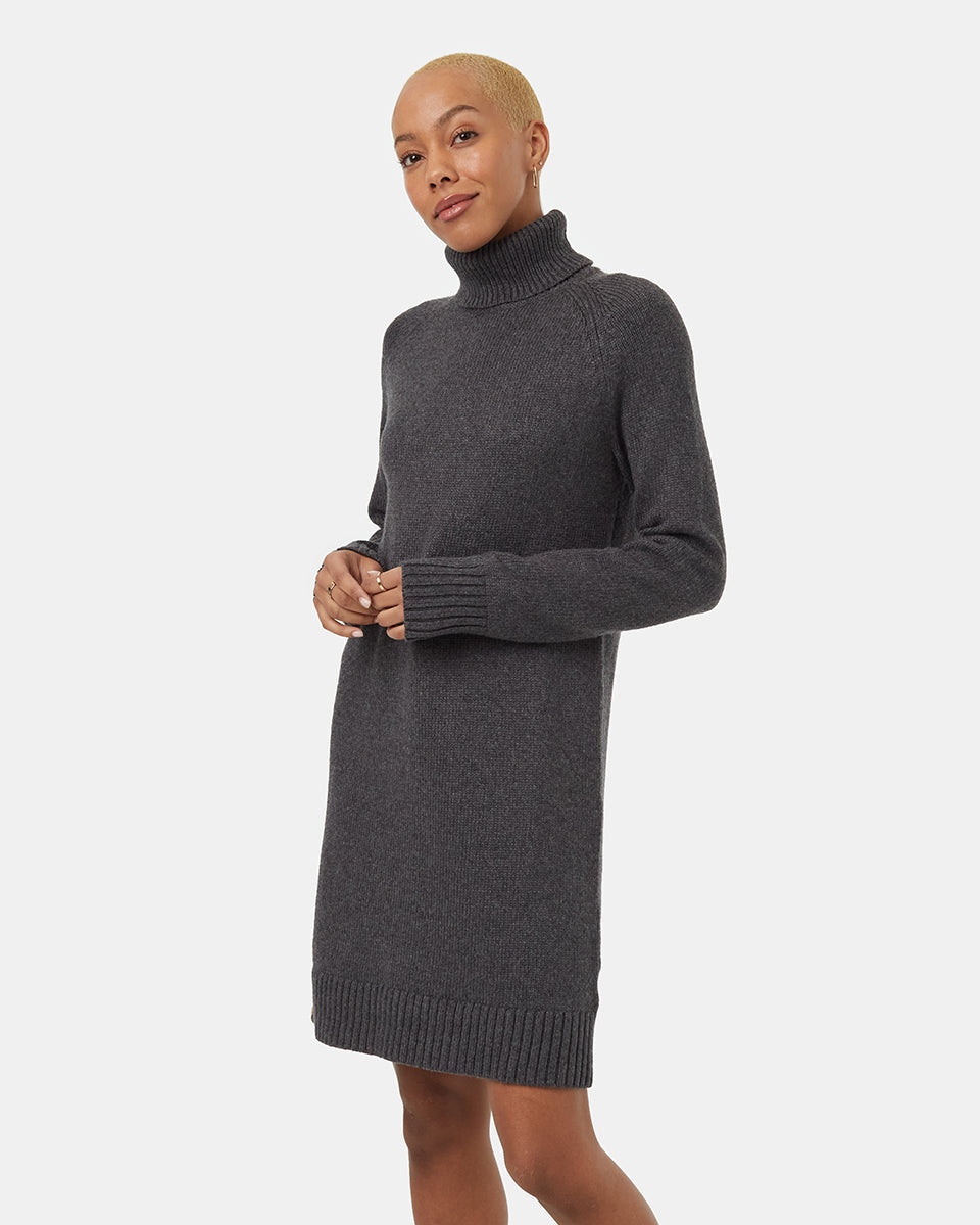 Highline Turtleneck Dress-2