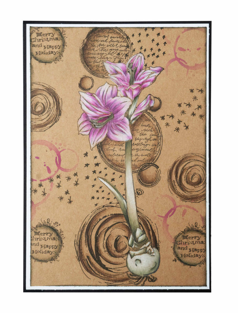 SL Clear Stamp Amaryllis Grunge Collection 210x74x3mm 1 PC nr.313-3