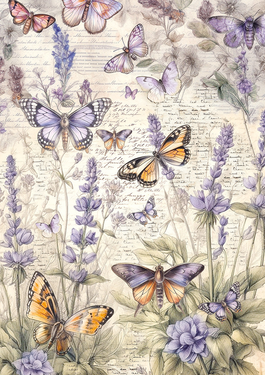 Tissue Paper A4 6/Pkg Whimsical Butterflies-3