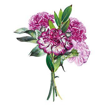 Hearty Crafts Easy 3D Toppers - Flowers-8