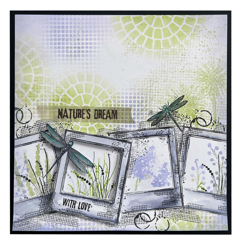 Tampon Transparent HEN Wild Meadow Natures Dream 62x93x3mm 2 PC nr.524-5