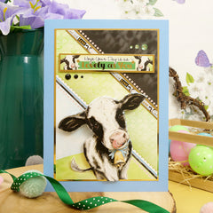 Hello Spring Designer Deco-Large Collection-10