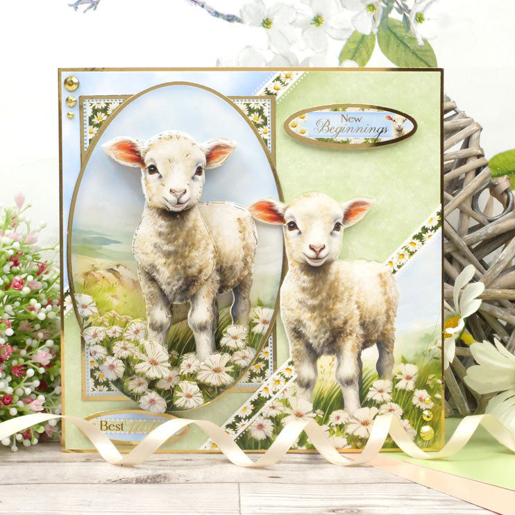 Spring is Here Deco-Large Set - A Boo-rilliant Birthday-5