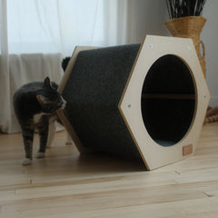 The Hexagone Scratchable Cat House-1