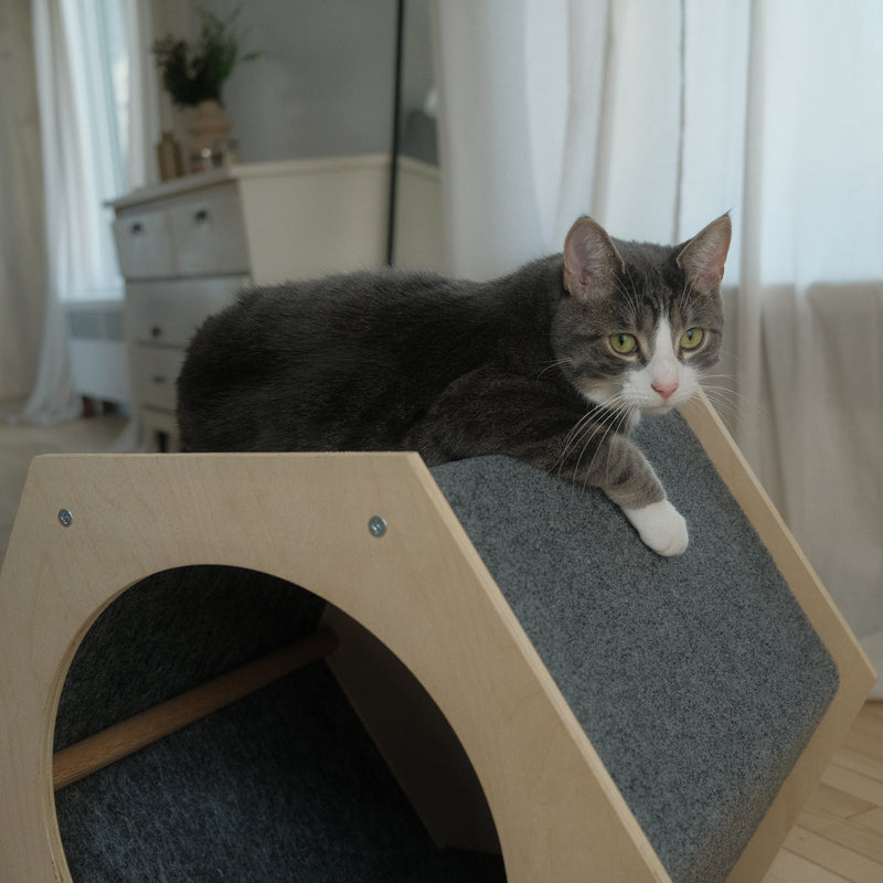 The Hexagone Scratchable Cat House-3